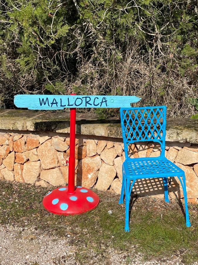 Agroturismo S Hort De Can Carrio Ag226 Ses Salines  Dış mekan fotoğraf