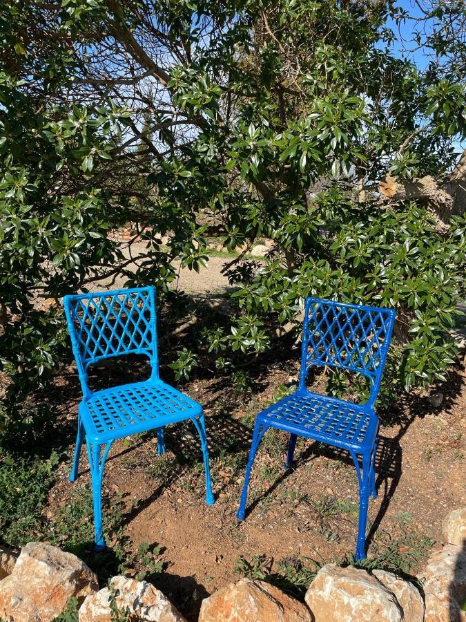 Agroturismo S Hort De Can Carrio Ag226 Ses Salines  Dış mekan fotoğraf